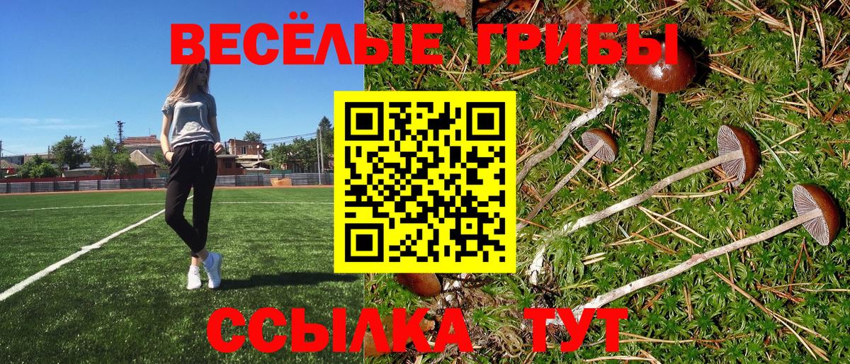 Нефтекамск  Псилоцибиновые грибы мухоморы  Псилоцибиновые грибы Psilocybe  Вход с VPN 