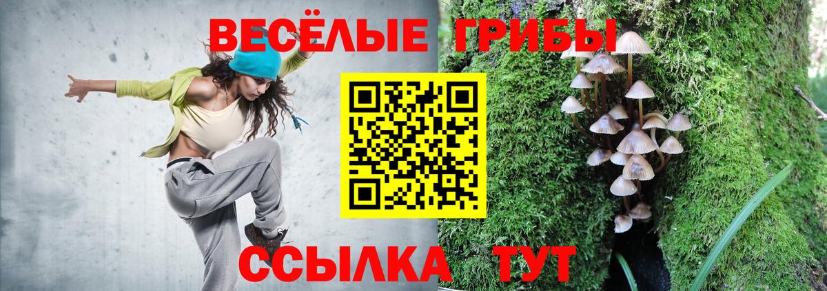 Галлюциногенные грибы мицелий Нефтекамск